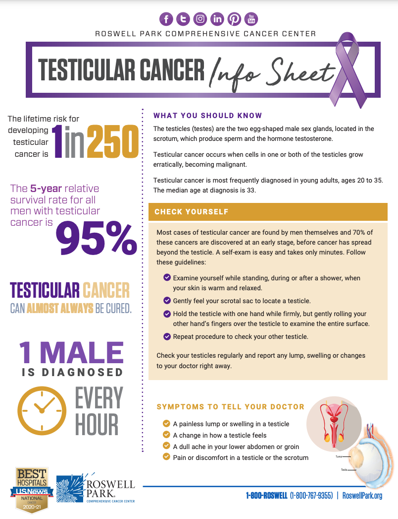 What Is Testicular Cancer Roswell Park Comprehensive Cancer Center