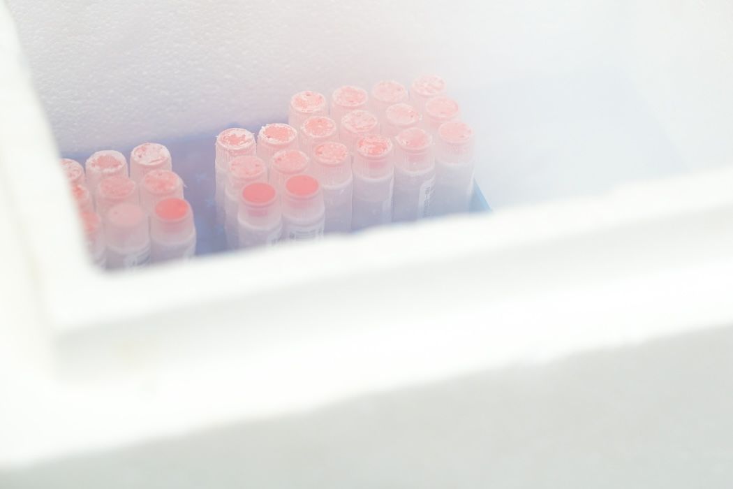 Frozen test tubes in a freezer