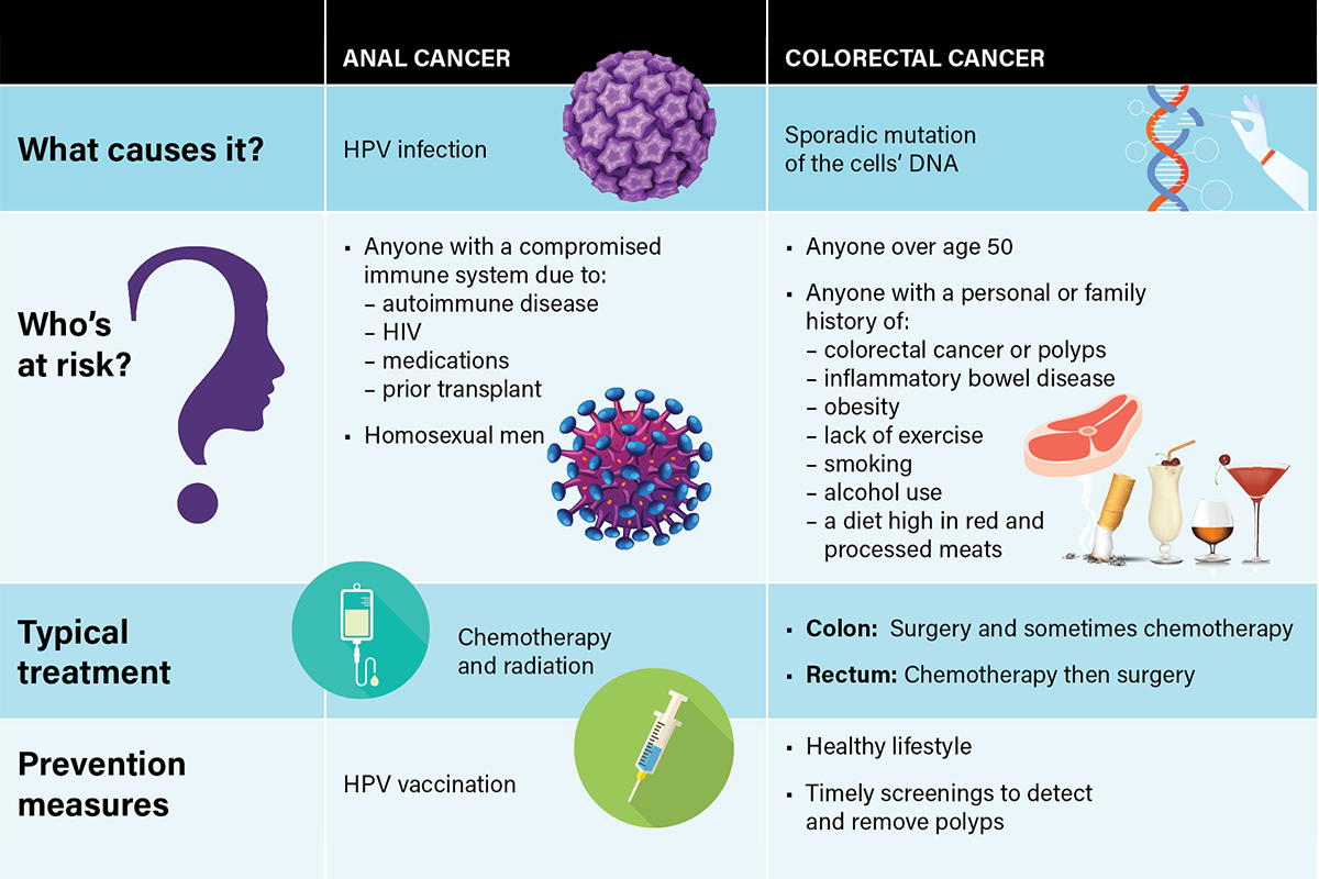 What Is The Difference Between Anal Cancer And Colon Cancer Roswell Park Comprehensive Cancer