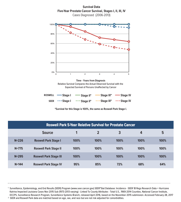 Prostate Cancer Survival Rates Roswell Park Comprehensive Cancer Center   Prostate Cancer Survival Chart 0 