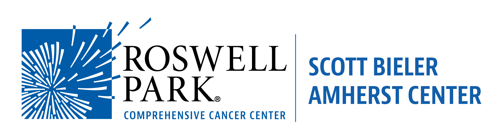 Ovarian Cancer Care Team Roswell Park Comprehensive Cancer Center Buffalo Ny 7808