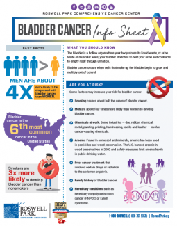 What Is Bladder Cancer? | Roswell Park Comprehensive Cancer Center ...