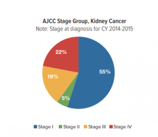 What Is the Survival Rate for Kidney Cancer? | Roswell Park