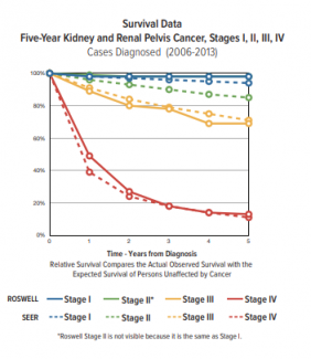 kidney cancer stage 4 survival rate