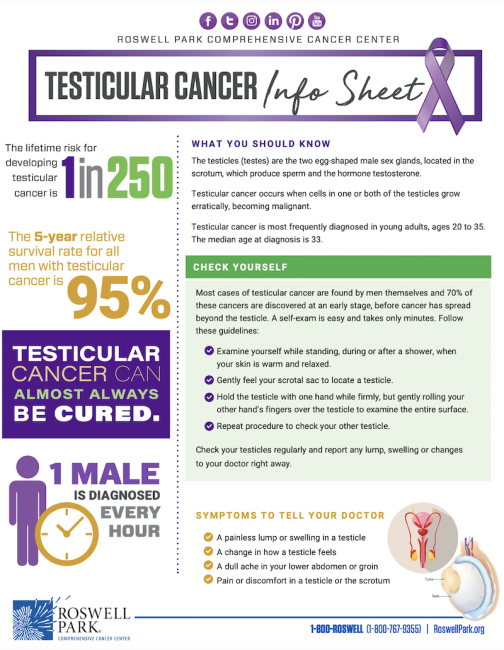 What is Testicular Cancer? | Roswell Park Comprehensive Cancer Center ...