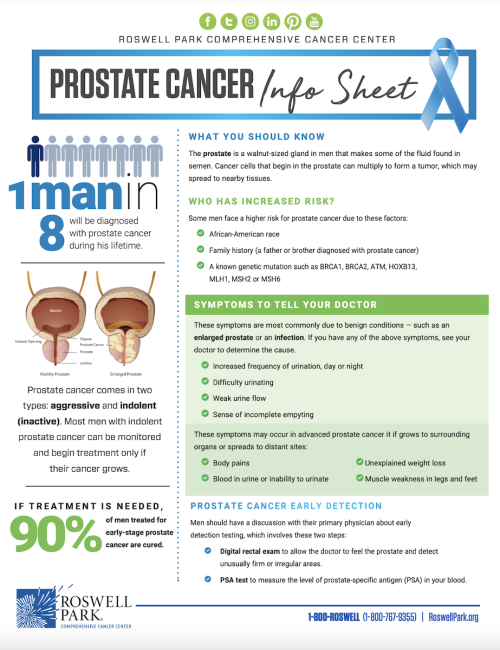 What Is Prostate Cancer? | Roswell Park Comprehensive Cancer Center ...